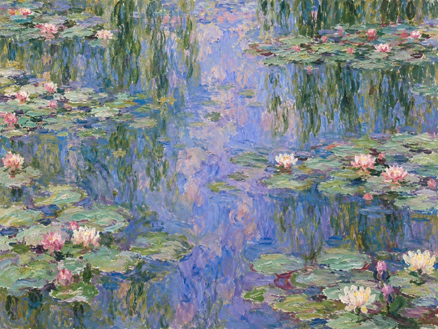 Water Lilies