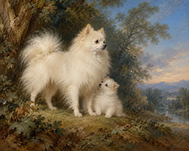 Pomeranian Bitch and Puppy, the painting