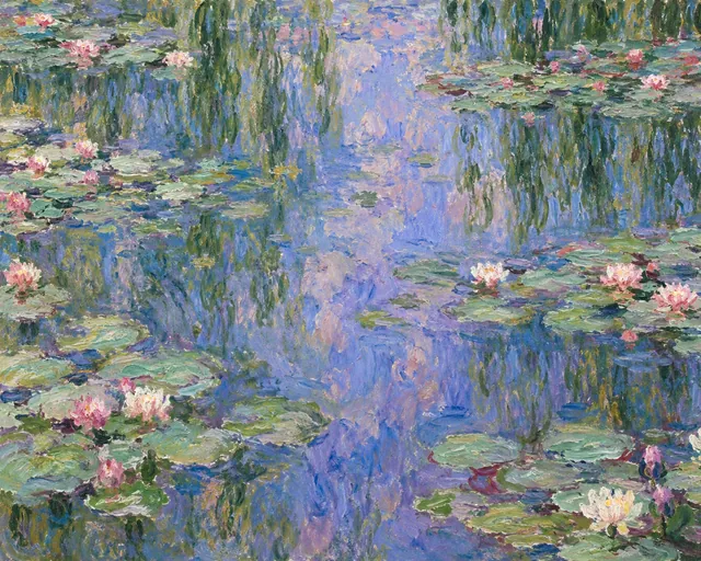 Water Lilies